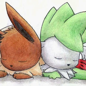 Meet your Posher, Alexandra